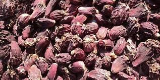 पूर्वी नाका काँकडभिट्टाबाट कृषिजन्य वस्तु अलैँची, चिया, अदुवा र अम्रिसोको निर्यात बढेयो